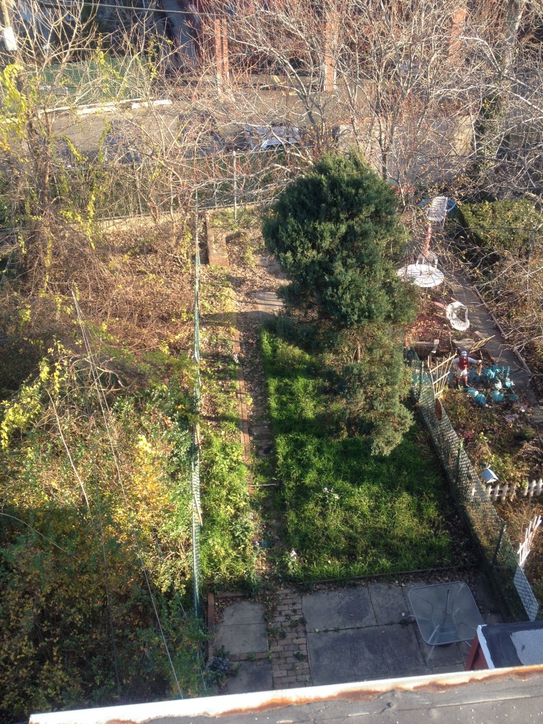 Back Yard Shot From Roof